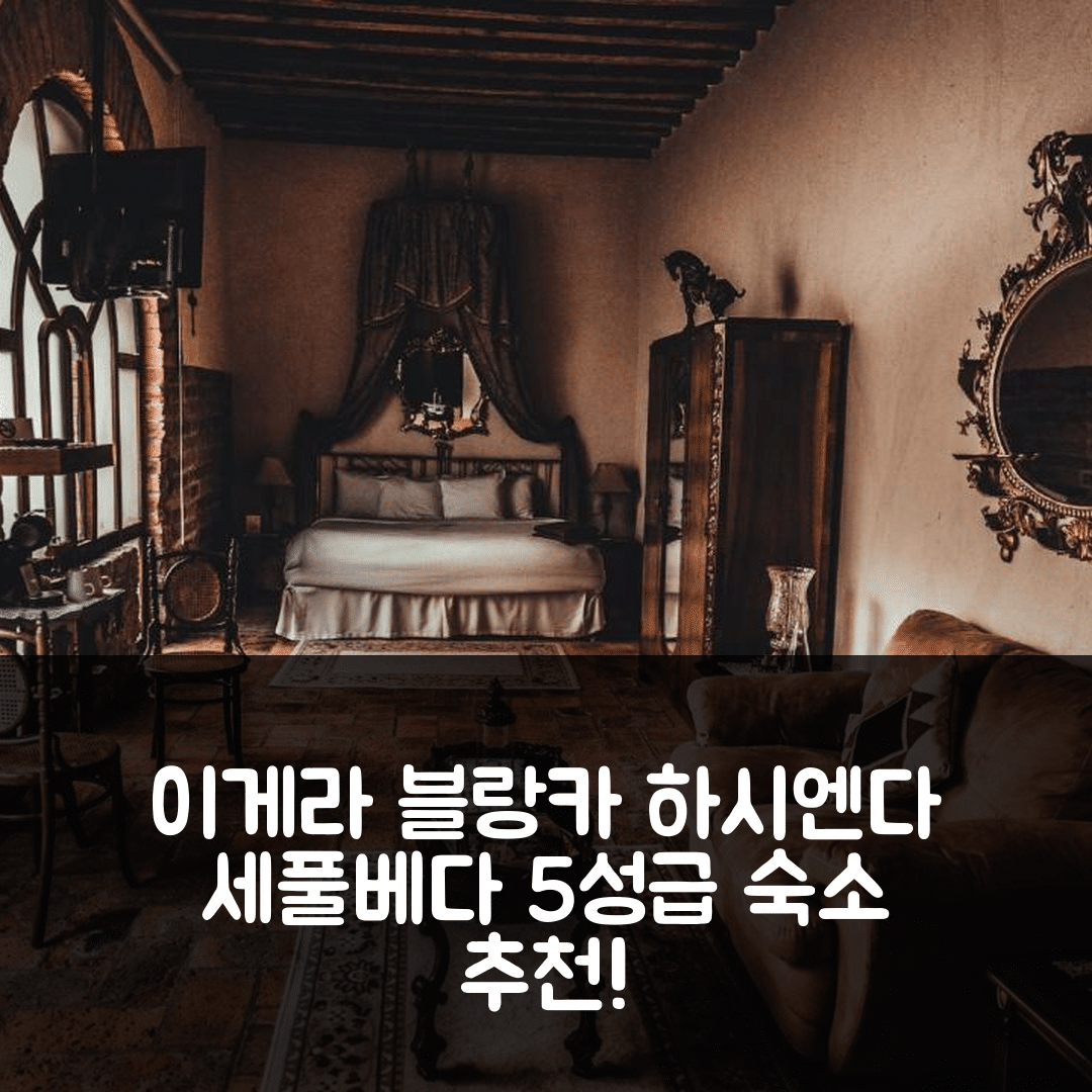 이게라 블랑카 숙소 여행 호텔 추천 하시엔다 세풀베다 호텔 앤 스파 | 5성급 조식과 수영장, 가성비 좋은 예약 팁 7가지