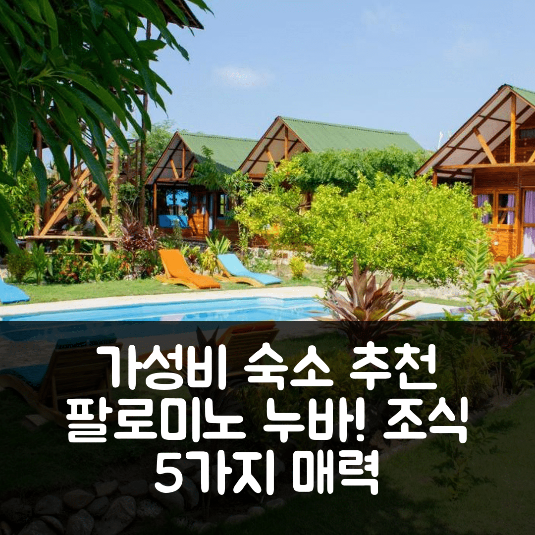 팔로미노 숙소 여행 호텔 추천 누바 부티크 호스텔 | 가성비와 조식이 뛰어난 5가지 이유