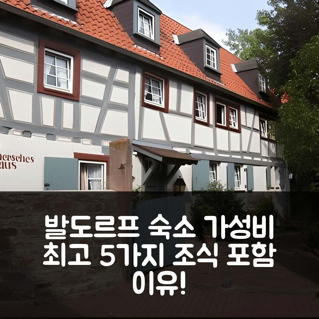 발도르프 숙소 여행 호텔 추천 도엘너셔스 하우스 | 조식과 가성비 뛰어난 5가지 이유와 위치 팁