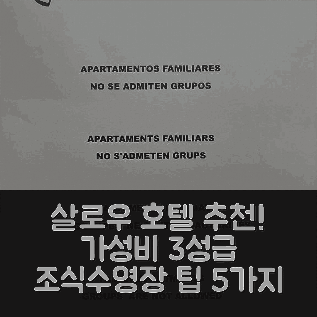 살로우 숙소 여행 호텔 추천 아파르타멘토스 콜론 | 가성비 최강 3성급 조식과 수영장 예약 팁 5가지