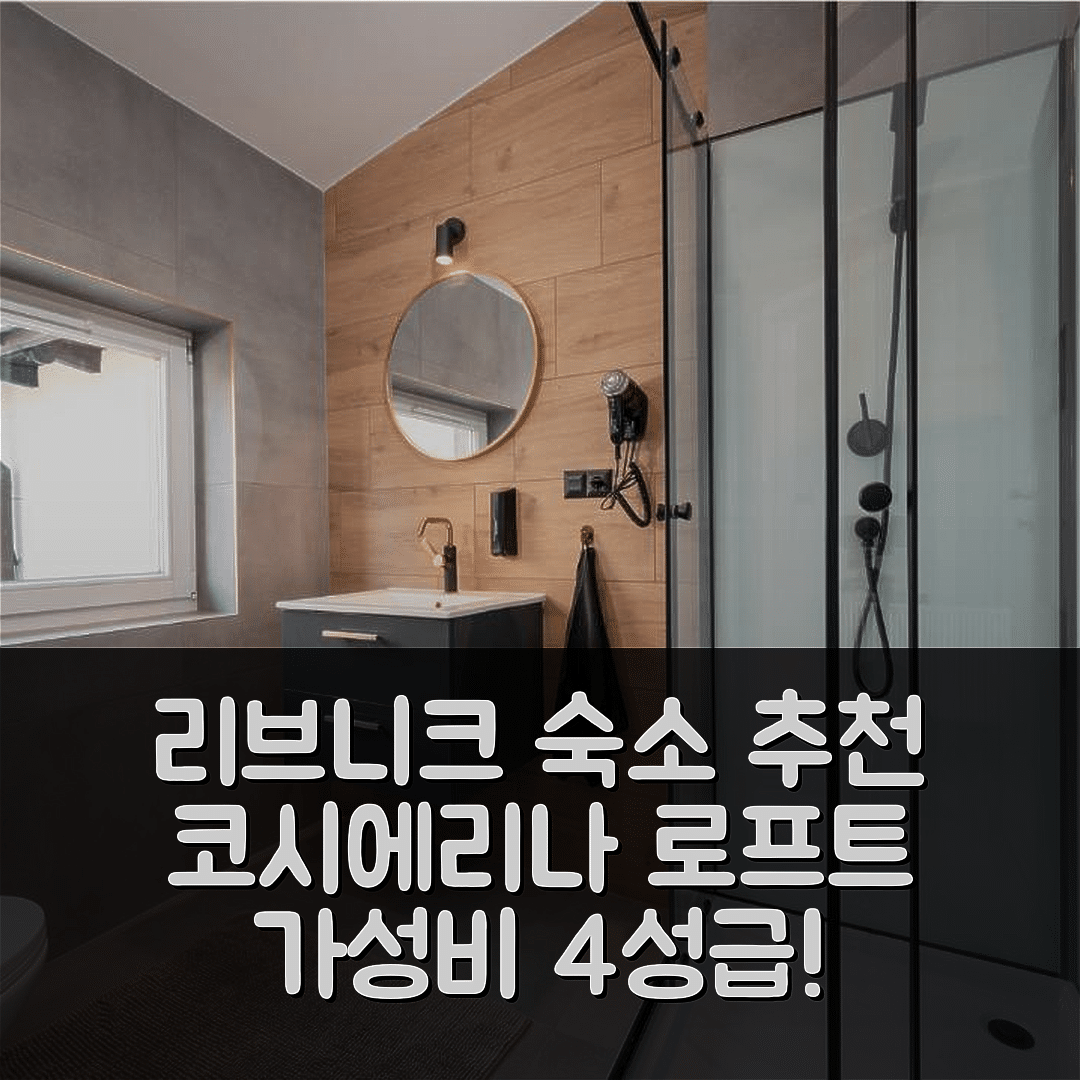 리브니크 숙소 여행 호텔 추천 코시에리나 로프트 아파트먼츠 | 가성비 좋은 4성급 조식과 위치 정보 7가지 팁