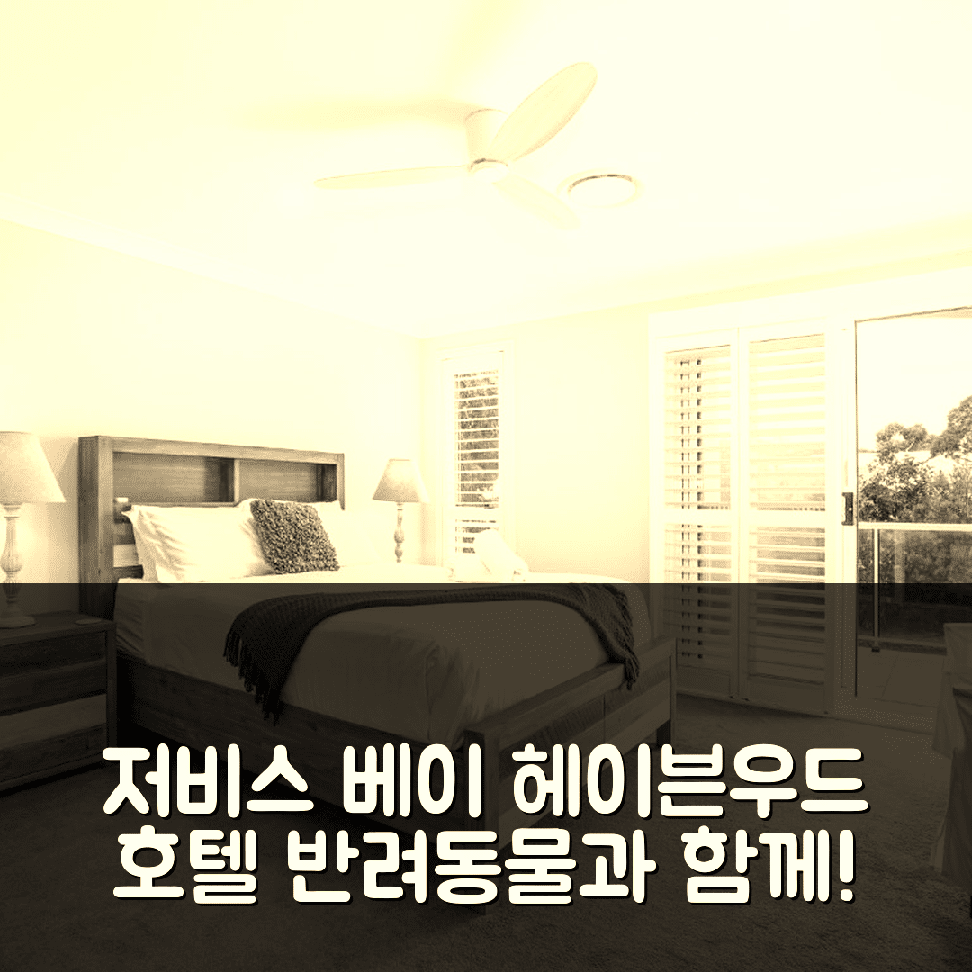 저비스 베이 숙소 여행 호텔 추천 헤이븐우드 호텔 | 반려동물 친화적 4가지 편의시설과 스파 및 수영장 정보