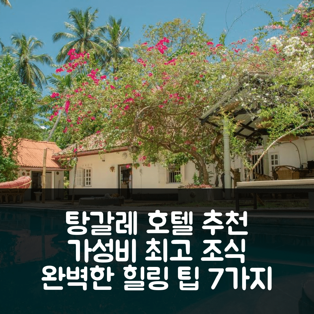 탕갈레 숙소 여행 호텔 추천 세스시리 호텔 | 가성비 최고 조식과 수영장 완벽한 힐링 7가지 팁