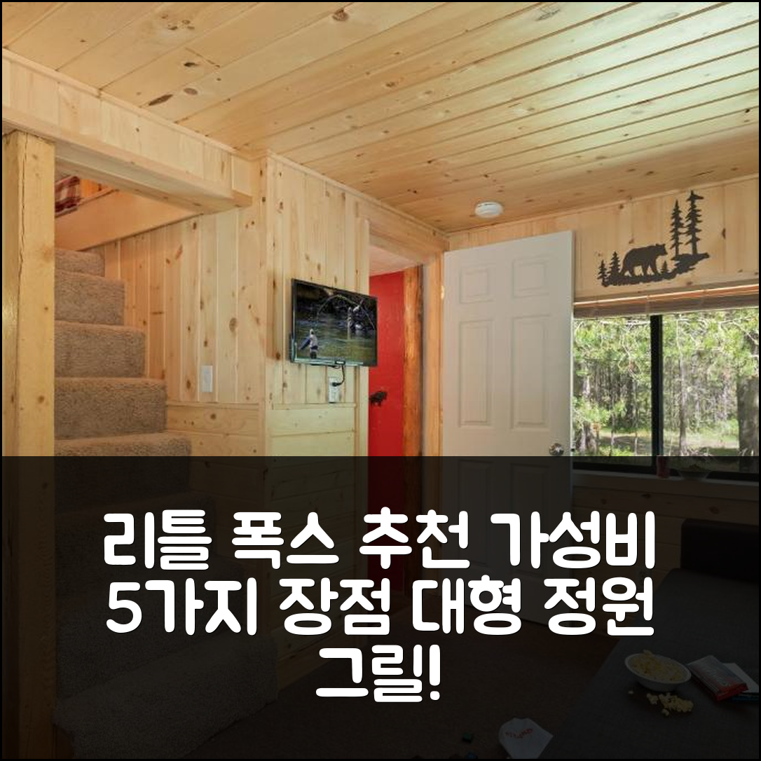 인디언 아일랜드 숙소 여행 호텔 추천 리틀 폭스 바이 카비노 | 대형 정원과 그릴이 있는 가성비 5가지 장점