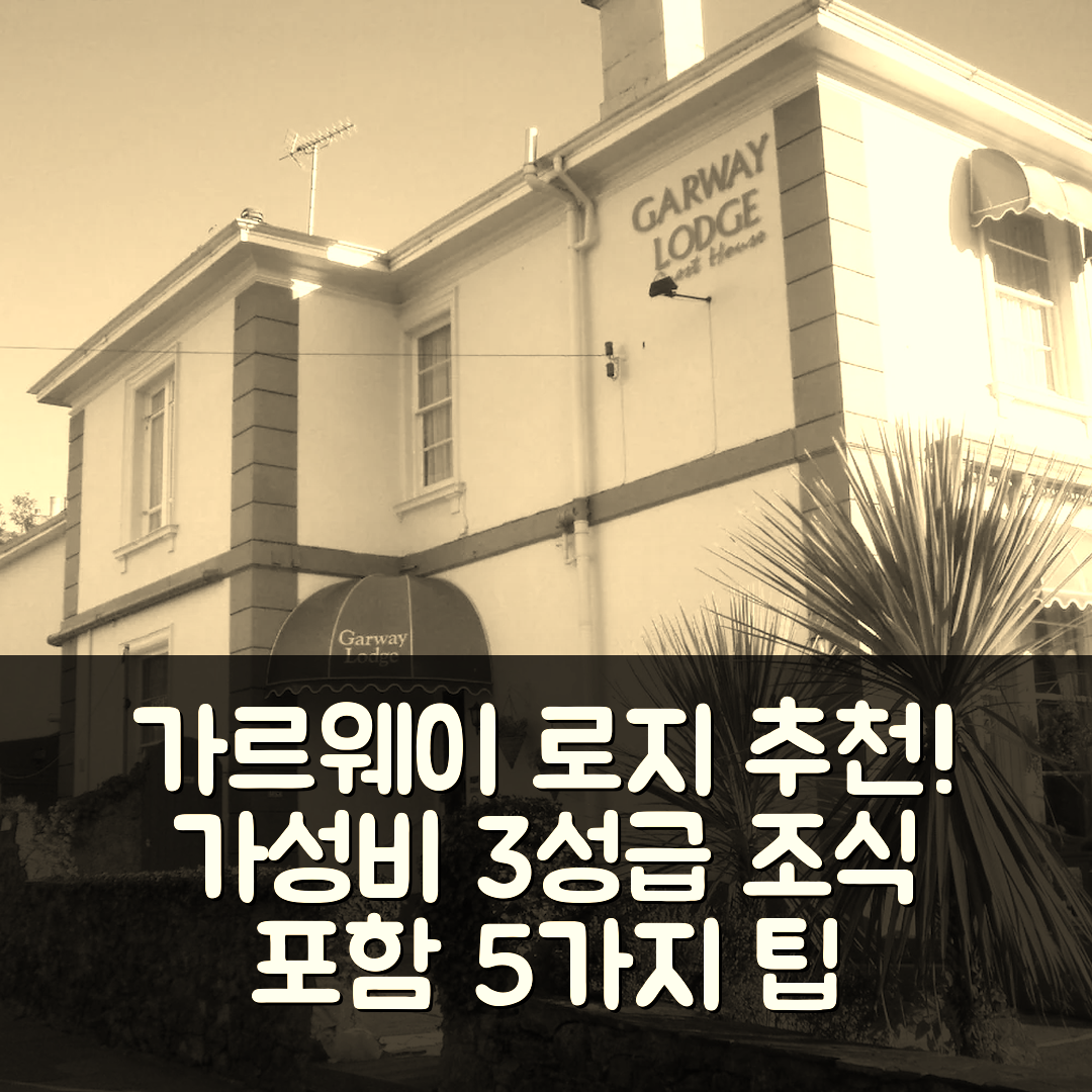 토키 숙소 여행 호텔 추천 가르웨이 로지 | 가성비 뛰어난 3성급 위치와 조식 정보 5가지