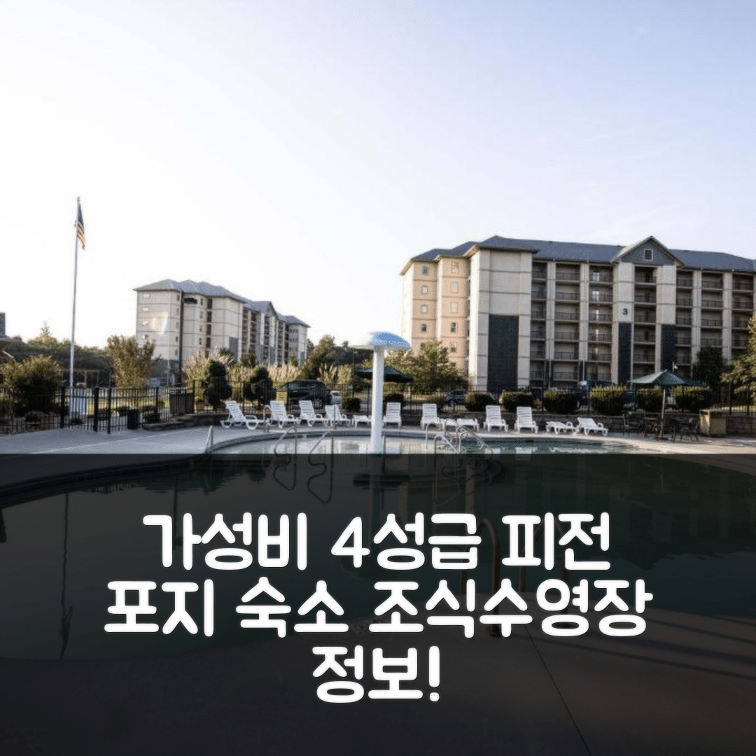 피전 포지 숙소 여행 호텔 추천 MVC - 유닛 1405 - 베어스 레어 | 가성비 좋은 4성급 조식과 수영장 정보 6가지