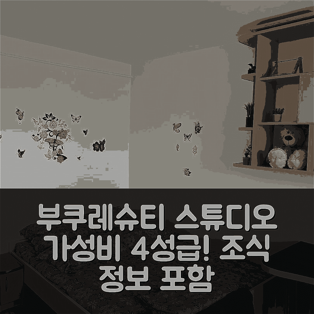 부쿠레슈티 숙소 여행 호텔 추천 스튜디오 이아니스 | 가성비 뛰어난 4성급 위치 및 조식 정보 5가지