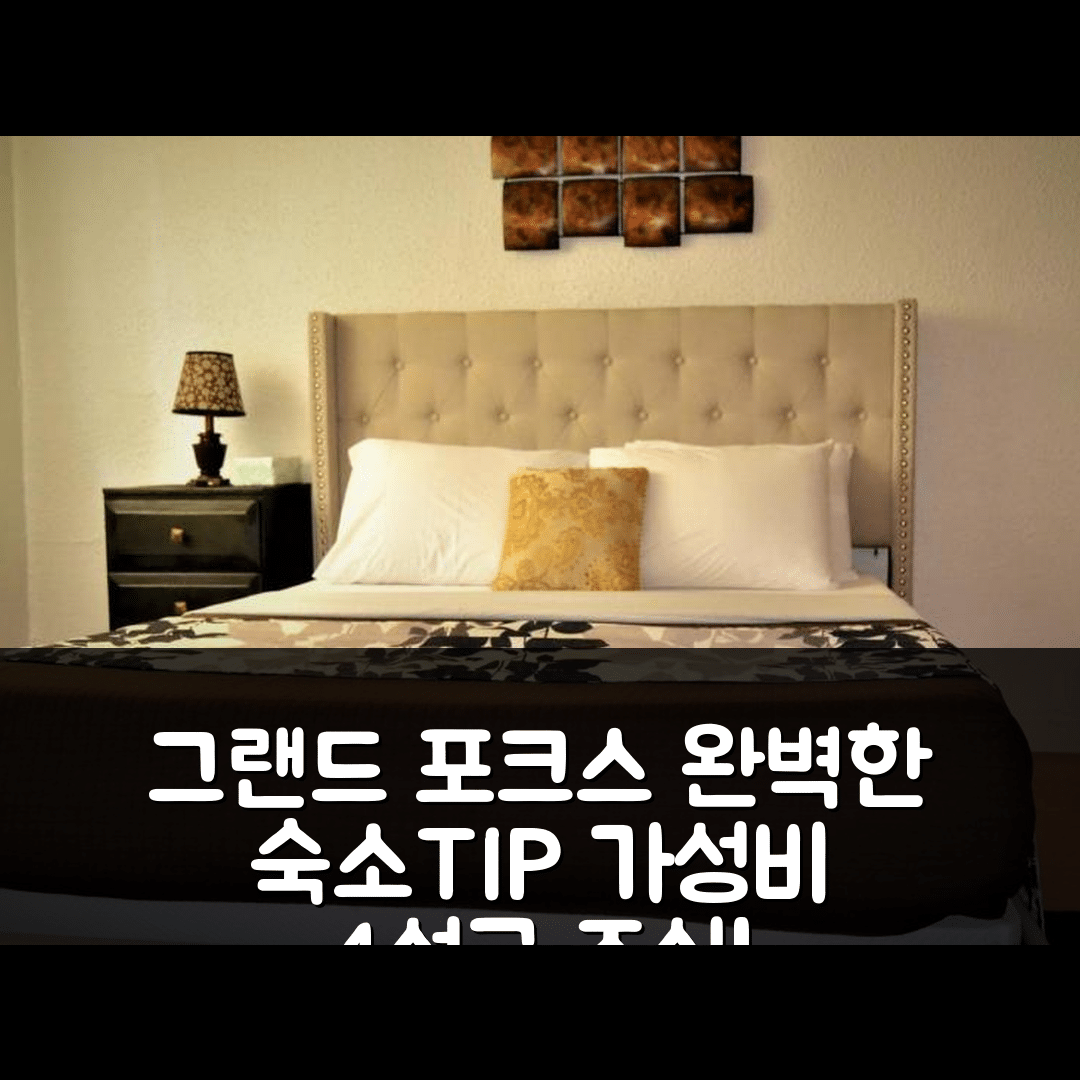 그랜드 포크스 숙소 여행 호텔 추천 우르바나 | 가성비 뛰어난 4성급 조식과 수영장 완벽한 편안함 5가지 팁