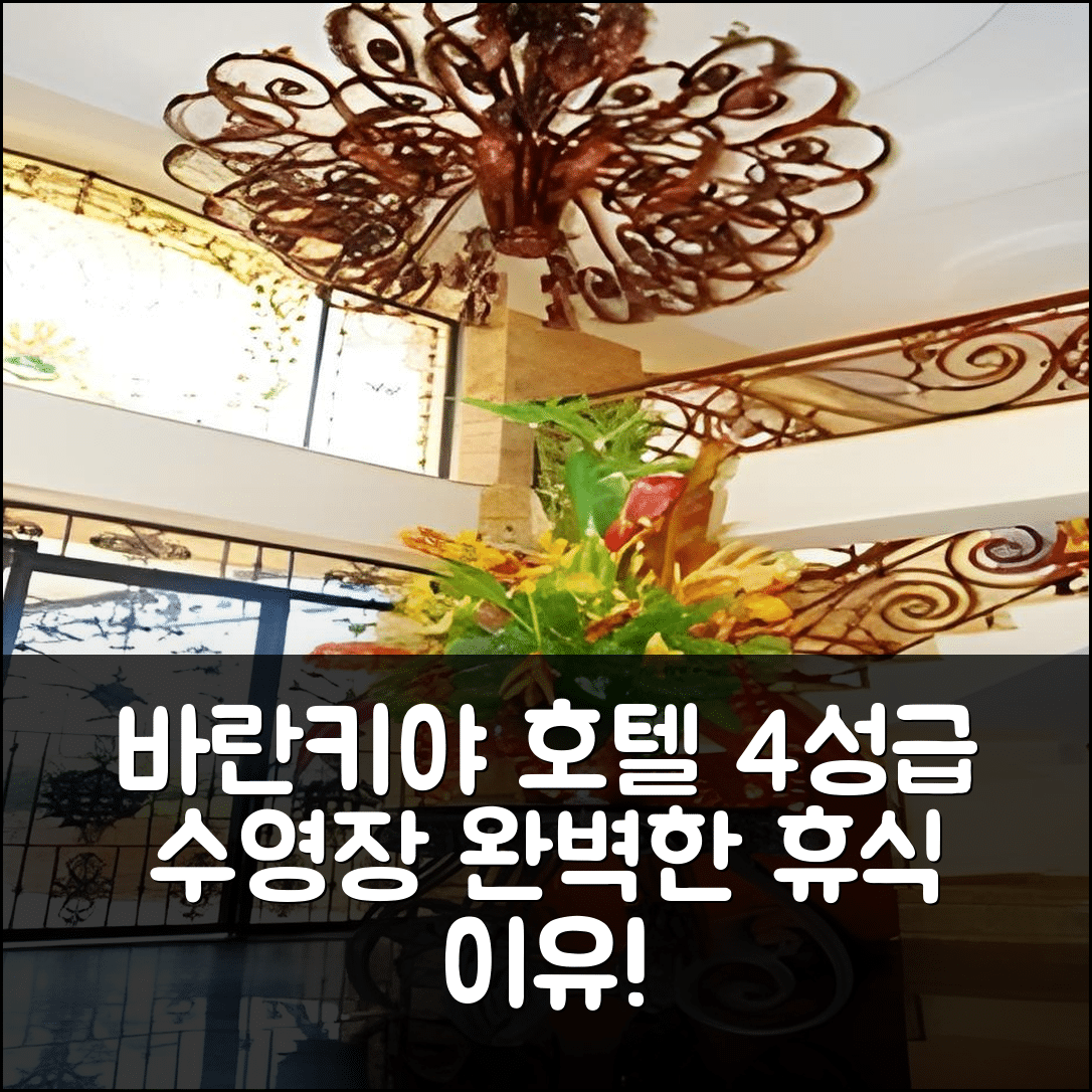 바란키야 숙소 여행 호텔 추천 윈저 바랑키야 호텔 | 4성급 수영장과 조식으로 완벽한 휴식 이유 7가지