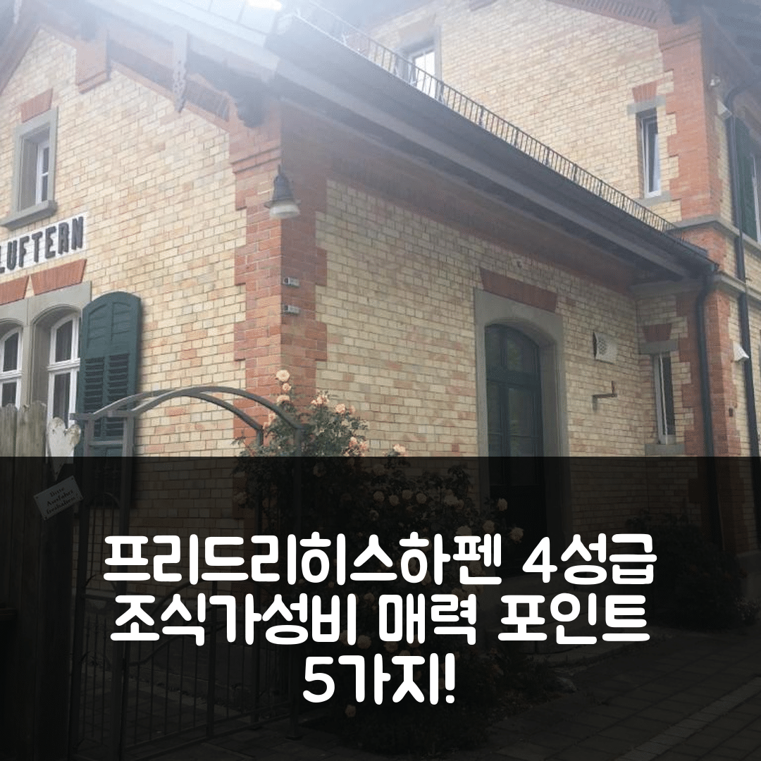 프리드리히스하펜 숙소 여행 호텔 추천 히스토리셰르 바하노프 | 4성급 조식과 가성비 좋은 위치의 매력 포인트 5가지
