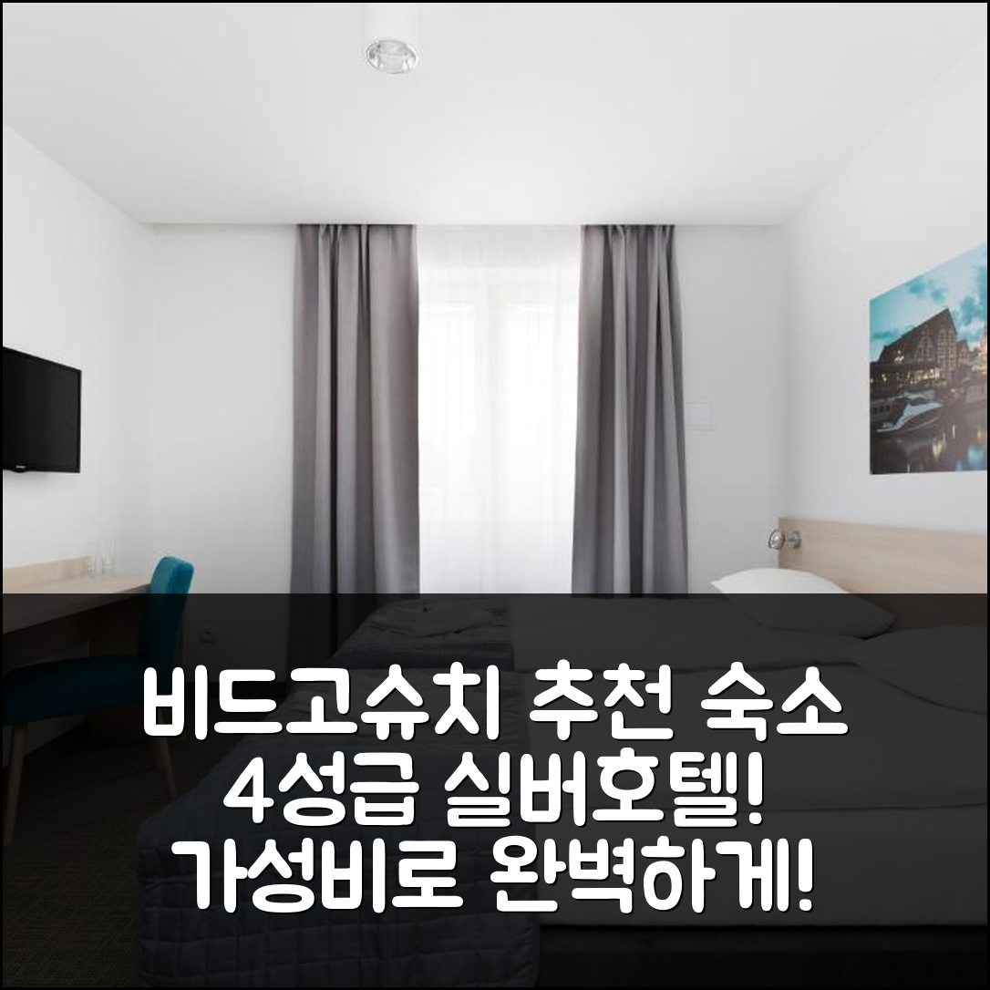 비드고슈치 숙소 여행 호텔 추천 실버 호텔 | 4성급 조식과 가성비 좋은 위치 확인 7가지 방법