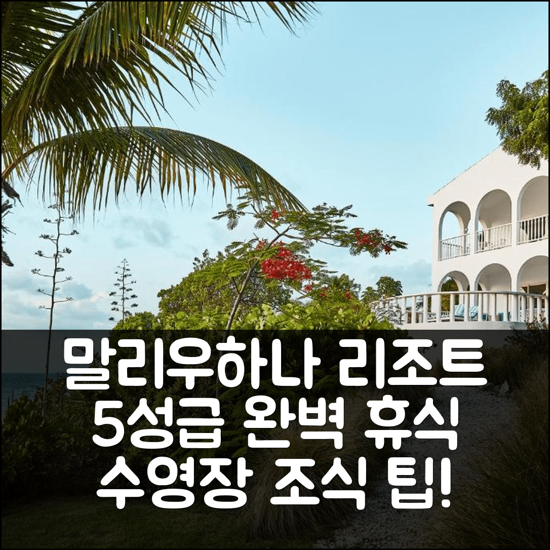 앵귈라 숙소 여행 호텔 추천 말리우하나 리조트 | 5성급 수영장과 조식으로 완벽한 휴식 8가지 팁